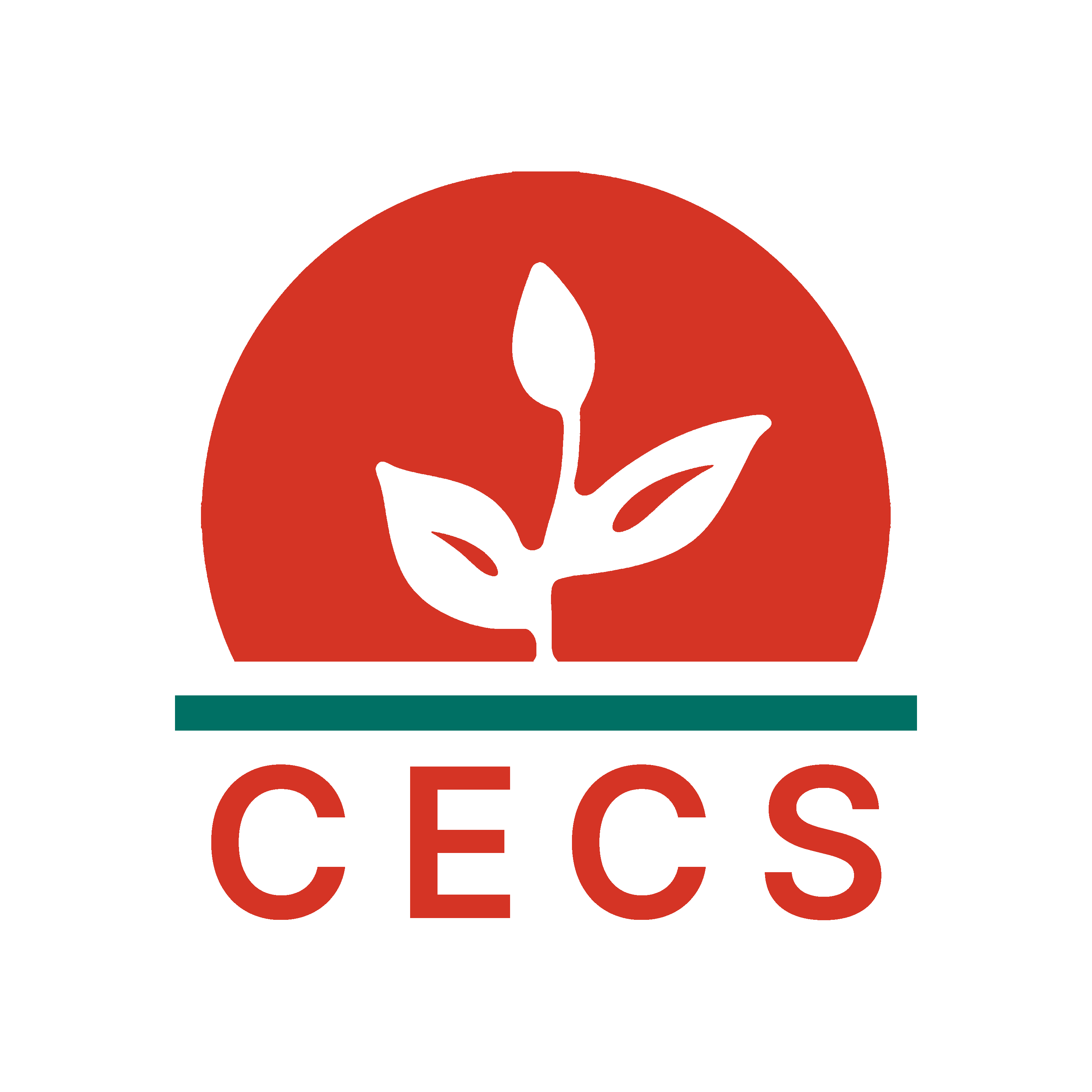 Logo del Centro de Estudios Conciencia y Síntesis